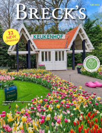 Free Breck’s Gardening Catalog