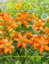 Free Breck’s Gardening Catalog