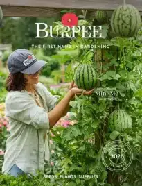 Free Burpee Gardening Catalog