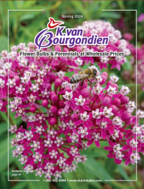 Free K. Van Bourgondien Catalog