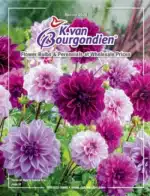 Free K. Van Bourgondien Catalog Request